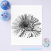 ゲルベラ チラシ (シングル)