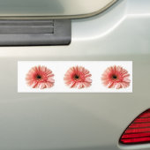 ゲルベラ バンパーステッカー (車上)