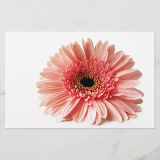 ゲルベラ 便箋 (正面)