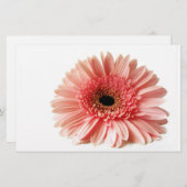 ゲルベラ 便箋 (正面/裏面)