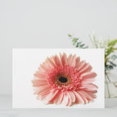 ゲルベラ 便箋 (スタンド正面)