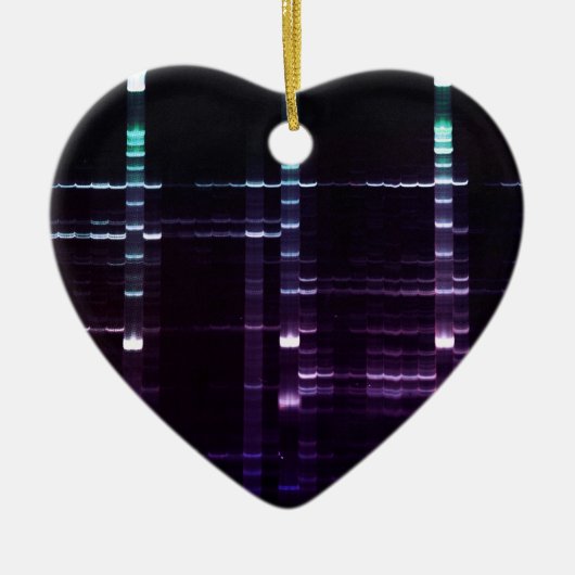ゲル2を配列するDNA セラミックオーナメント (正面)