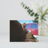 ゲレット ポストカード (スタンド正面)