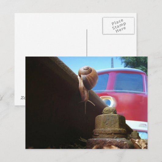 ゲレット ポストカード (正面/裏面)