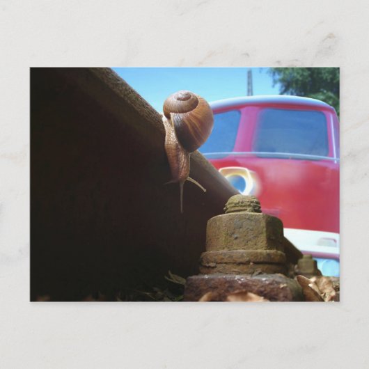 ゲレット ポストカード (正面)