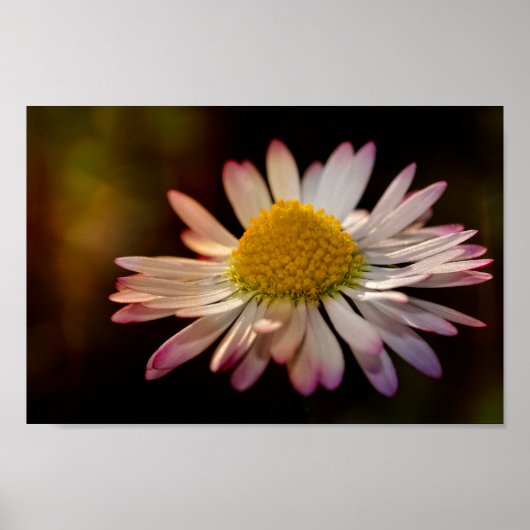 ゲンスブリュムチェン ポスター (正面)