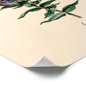 ゲンチアン花 ポスター (角)