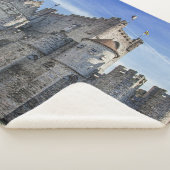 ゲントの伯爵の城。 シェルパブランケット (3/4)