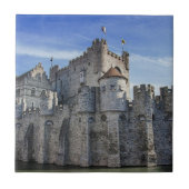 ゲントの伯爵の城。 タイル (正面)