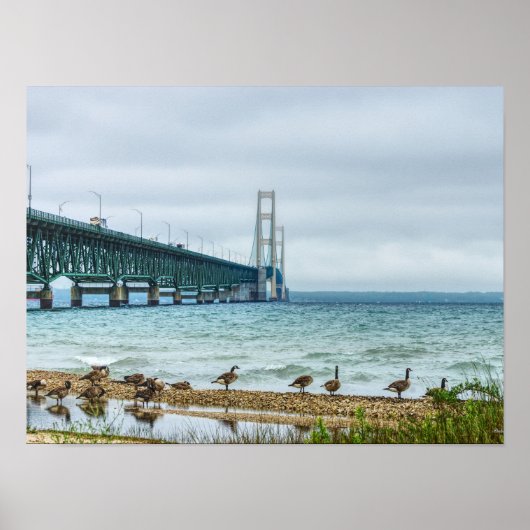 ゲーズアットマイティMac ポスター (正面)