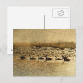 ゲーズオンゴールデン池 ポストカード (正面/裏面)