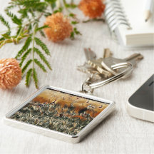 ゲーゼとダックロームアート