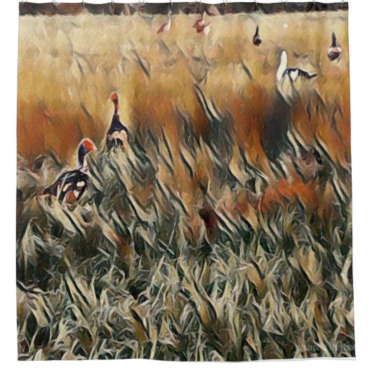 ゲーゼとダックロームアート シャワーカーテン (正面)