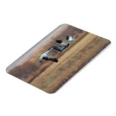 ゲーゼのトリオ マグネット (左側)