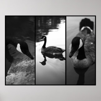 ゲーゼのポスター ポスター