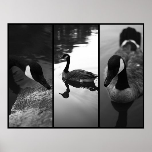 ゲーゼのポスター ポスター (正面)