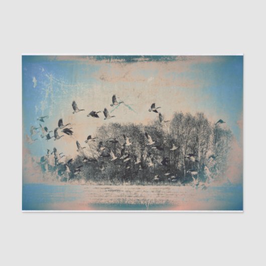 ゲーゼンブルーセピアの群れヴィンテージアンティークテクスチャ 薄葉紙 (正面)