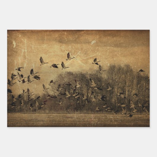 ゲーゼヴィンテージアンティークセピアのテクスチャのデコページ ラッピングペーパーシート (正面2)