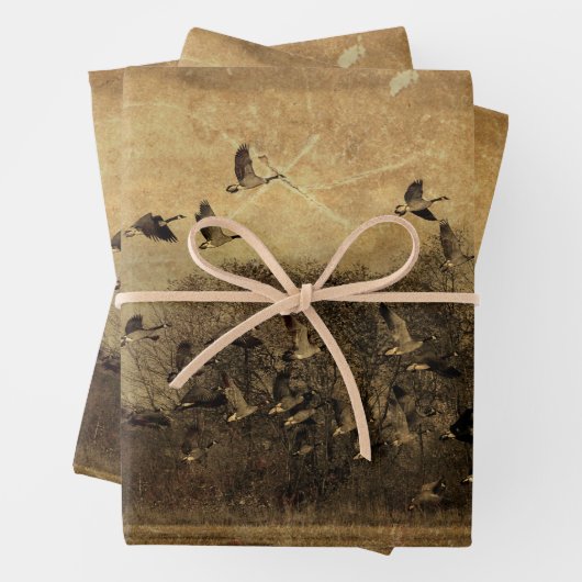 ゲーゼヴィンテージアンティークセピアのテクスチャのデコページ ラッピングペーパーシート (インサイチュ)