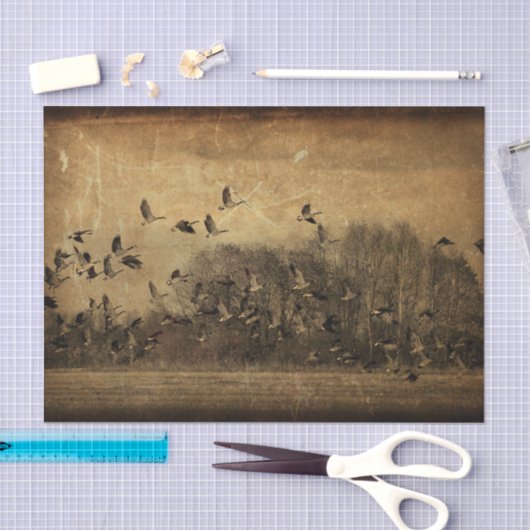 ゲーゼヴィンテージアンティークセピアのテクスチャのデコページ 薄葉紙 (クラフト)