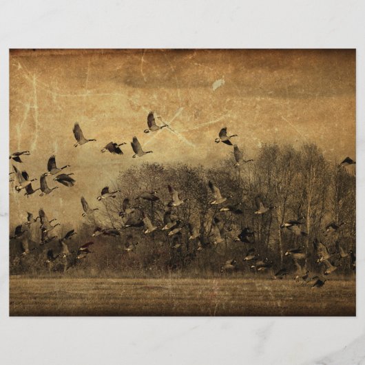 ゲーゼヴィンテージアンティークセピアワイルドライフテクスチャ (正面)