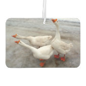 ゲーゼ白 カーエアーフレッシュナー (裏面)