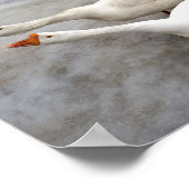 ゲーゼ白 ポスター (角)