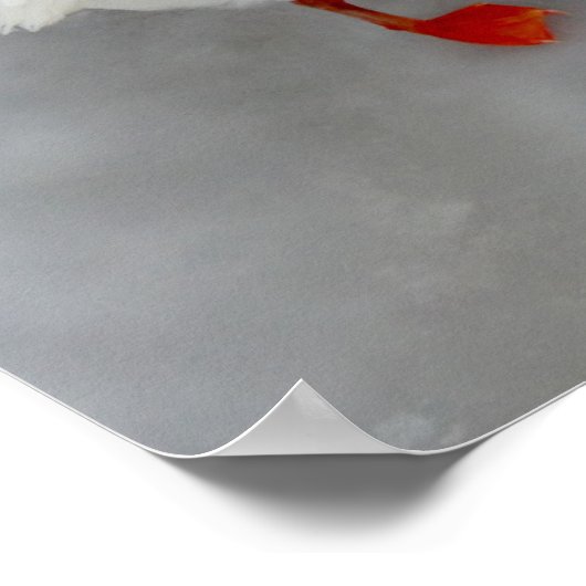 ゲーゼ白 ポスター (角)