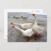 ゲーゼ白 ポストカード (正面/裏面)