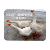 ゲーゼ白 マグネット (横)