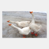 ゲーゼ白 長方形シール (正面)