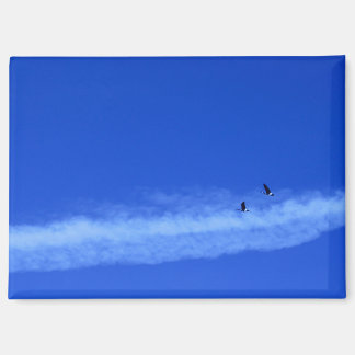 ゲーゼ飛んでいる磁石 マグネット