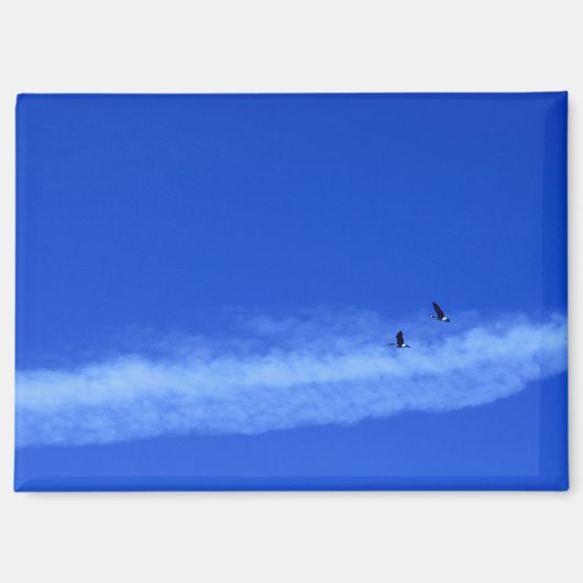 ゲーゼ飛んでいる磁石 マグネット (正面)