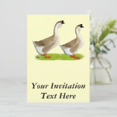 ゲーゼ：アフリカのバフ 招待状 (スタンド正面)