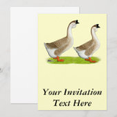 ゲーゼ：アフリカのバフ 招待状 (正面/裏面)