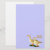 ゲーゼ：アメリカンバフ 便箋 (正面/裏面)