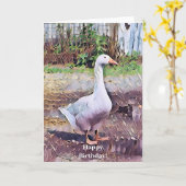 ゲーゼ カード (黄色い花)