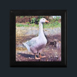 ゲーゼ ギフトボックス<br><div class="desc">家畜化されたガチョウのアートデザイン。</div>