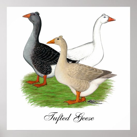 ゲーゼ:タフテッドトリオ ポスター (正面)