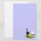 ゲーゼ：タフテッドトリオ 便箋 (正面/裏面)