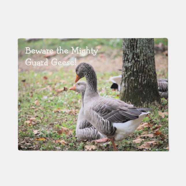 ゲーゼ ドアマット (正面)