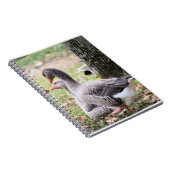 ゲーゼ ノートブック (右側)