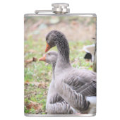 ゲーゼ フラスク (正面)