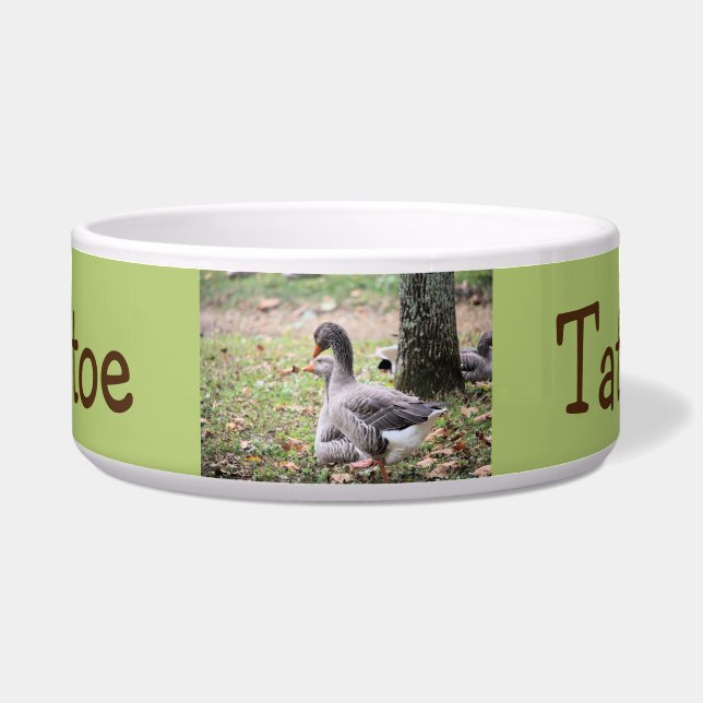 ゲーゼ ボウル (正面)