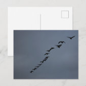 ゲーゼ ポストカード (正面/裏面)