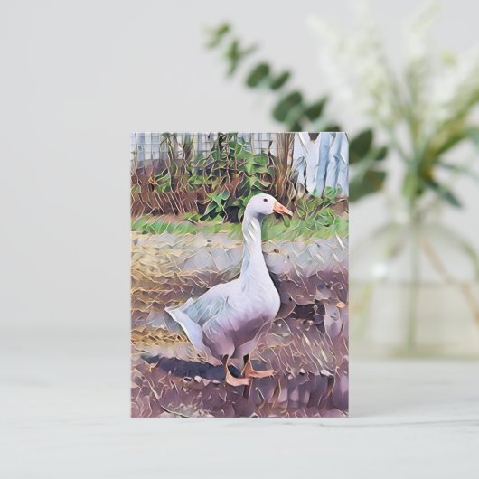 ゲーゼ ポストカード (スタンド正面)