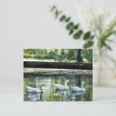 ゲーゼ ポストカード (スタンド正面)