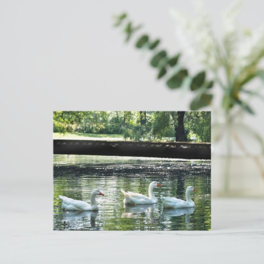 ゲーゼ ポストカード (スタンド正面)