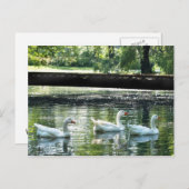 ゲーゼ ポストカード (正面/裏面)