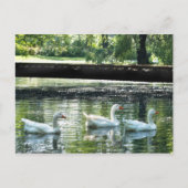 ゲーゼ ポストカード (正面)